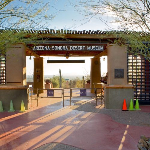 arizona-sonora-desert-museum_entrance